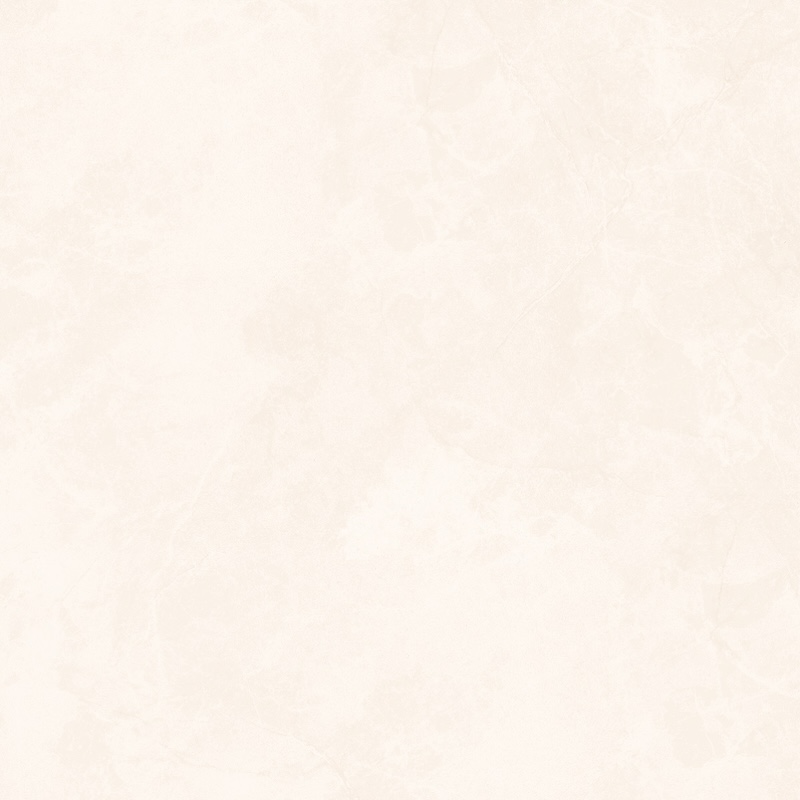 gach eurotile 120x120 NHC S05M 8