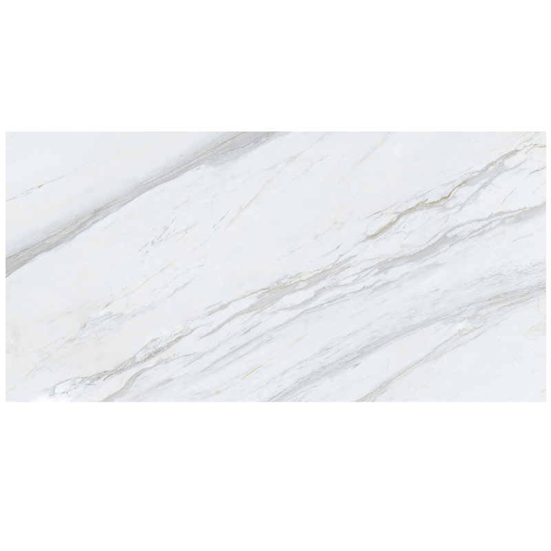 gach eurotile 750x1500 HAP N01P